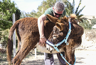 terapia_asistida_con_animales_0062_humanymal