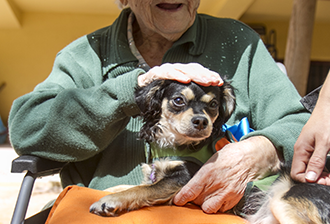 terapia_asistida_con_animales_0063_humanymal
