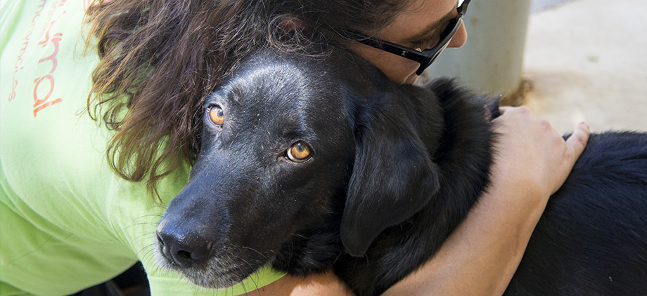 terapia_asistida_con_animales_0066_humanymal
