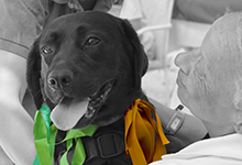 Terapia_asistida_con_animales_0011_humanymal