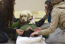 Terapia_asistida_con_animales_0012_humanymal