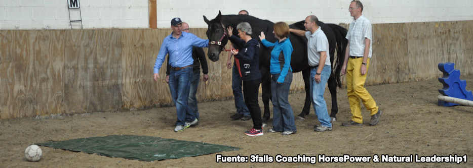 3falls Coaching HorsePower & Natural Leadership4