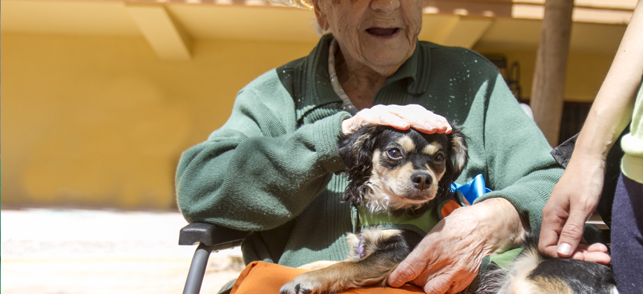terapia_asistida_con_animales_0064_humanymal