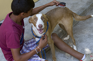 Terapia_asistida_con_animales_0001_humanymal Terapia con perros - proyecto Quererlos para quererme