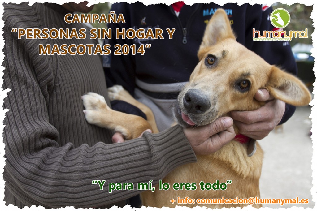 Foto_Campaña_Personas_sin_hogar_y_mascotas_2014
